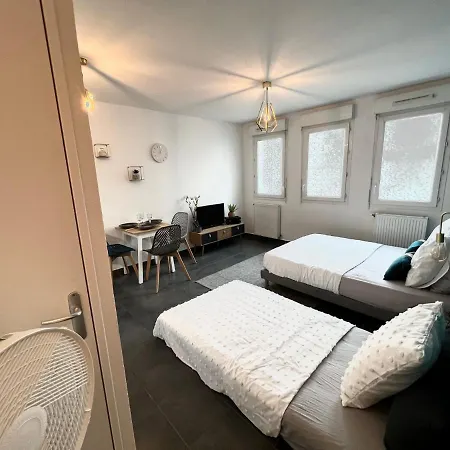 Agatha : Acces Facile Gare Pardieu / Eurexpo / Aeroport / Groupama Stadium Apartment Villeurbanne