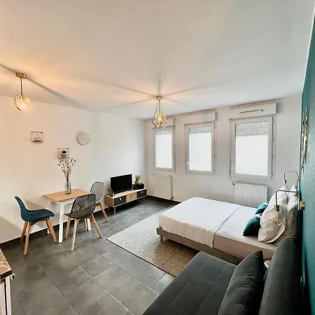 Agatha : Acces Facile Gare Pardieu / Eurexpo / Aeroport / Groupama Stadium Apartment Villeurbanne